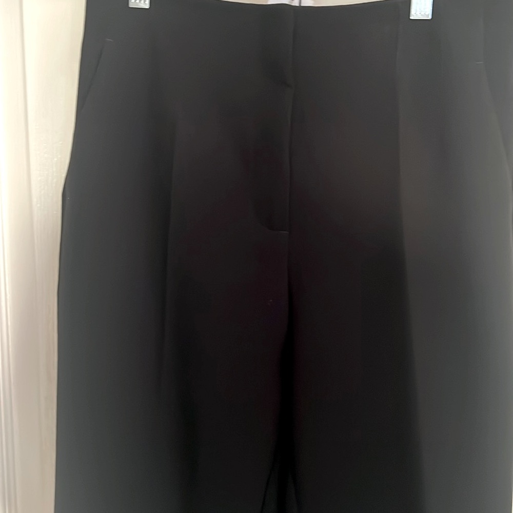 NWT suit pants